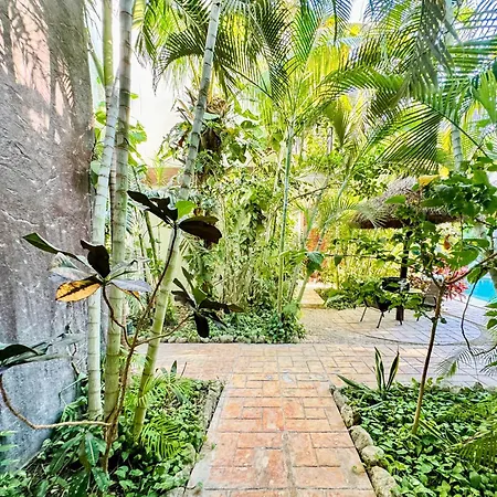 Casa Guadalupe