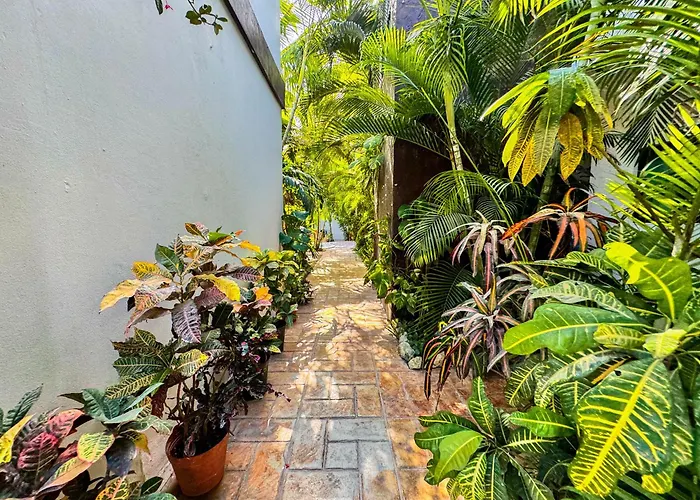 Casa Guadalupe *
